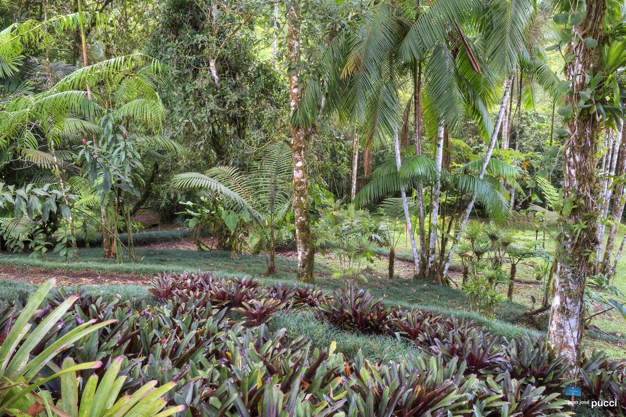 Estacion Biologica Las Cruces Y Jardin Botanico Wilson San Vito 외부 사진