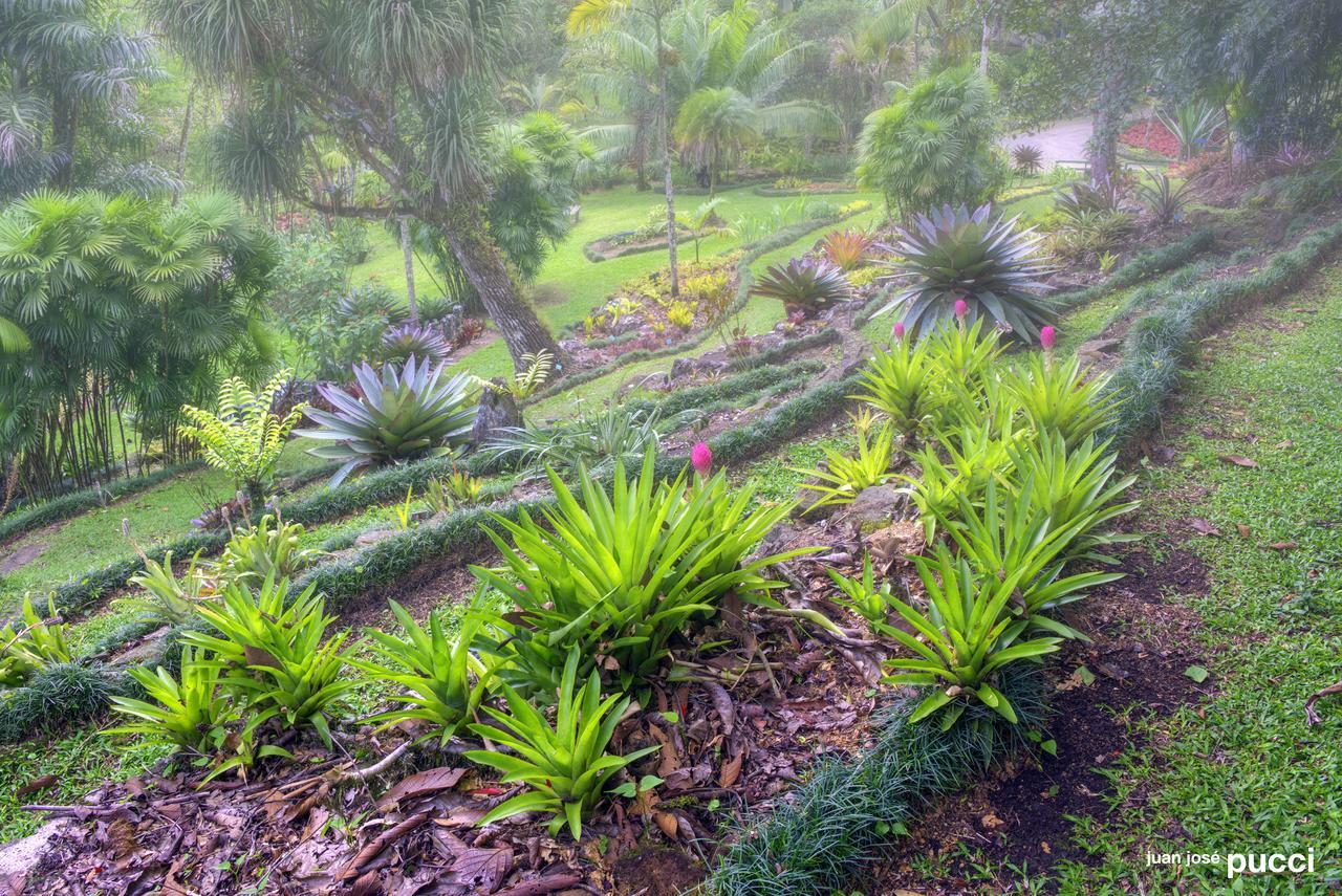 Estacion Biologica Las Cruces Y Jardin Botanico Wilson San Vito 외부 사진