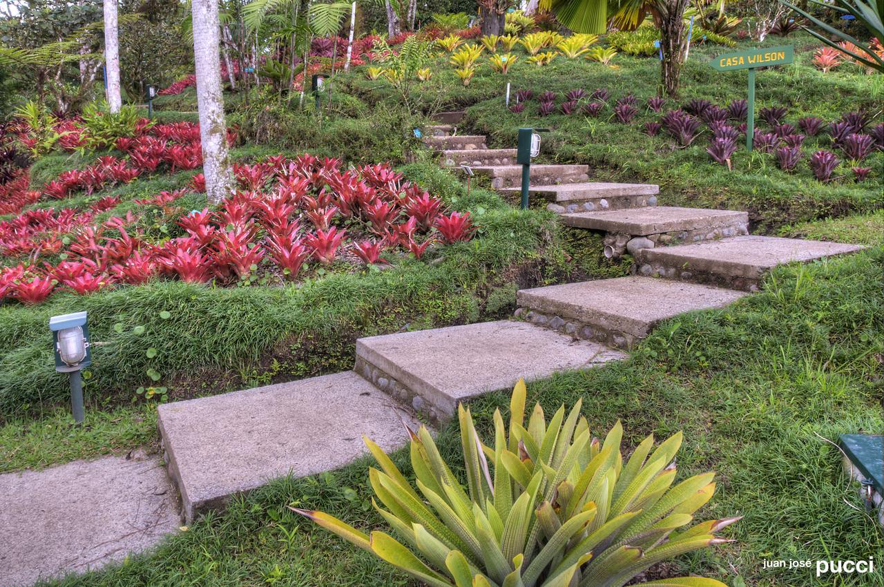 Estacion Biologica Las Cruces Y Jardin Botanico Wilson San Vito 외부 사진