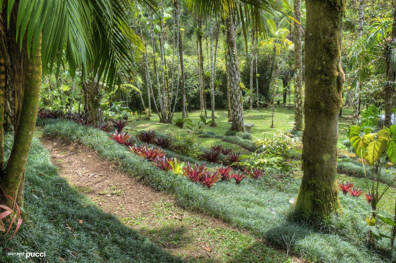 Estacion Biologica Las Cruces Y Jardin Botanico Wilson San Vito 외부 사진