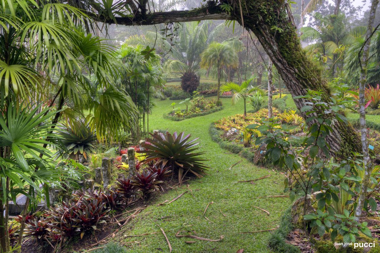 Estacion Biologica Las Cruces Y Jardin Botanico Wilson San Vito 외부 사진