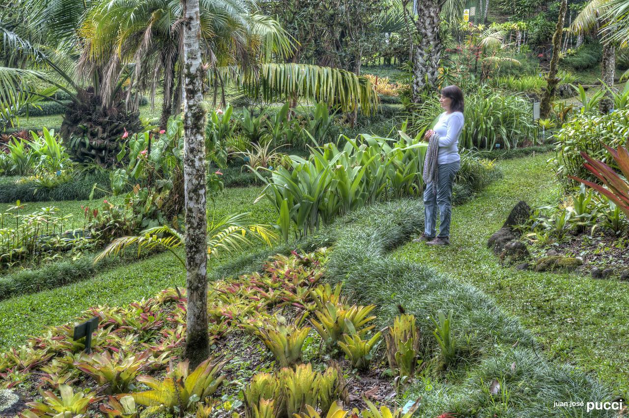 Estacion Biologica Las Cruces Y Jardin Botanico Wilson San Vito 외부 사진