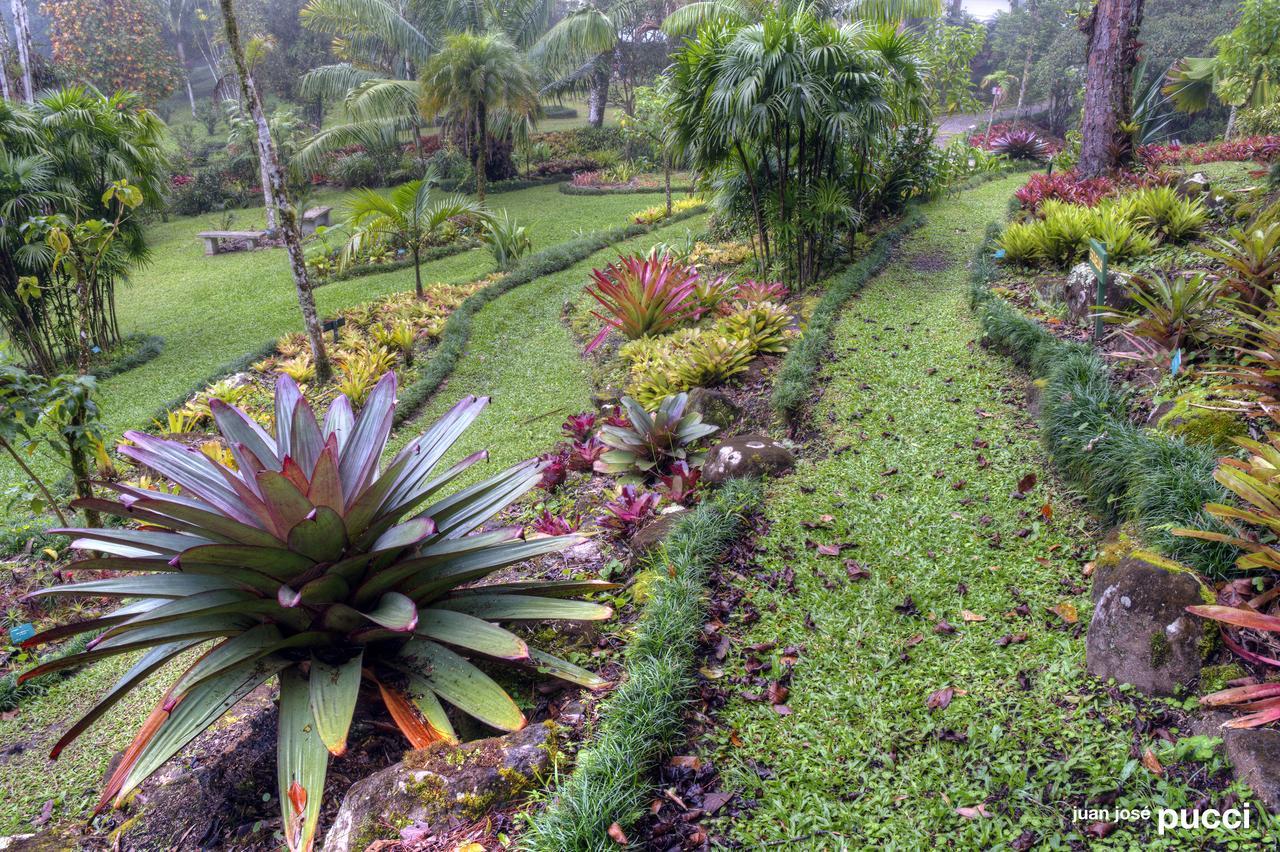 Estacion Biologica Las Cruces Y Jardin Botanico Wilson San Vito 외부 사진